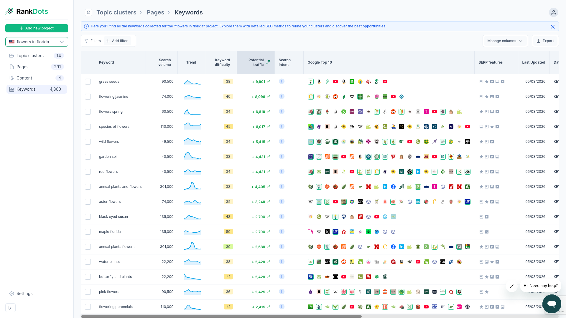 RankDots keyword research dashboard showing search intent analysis and query volumes